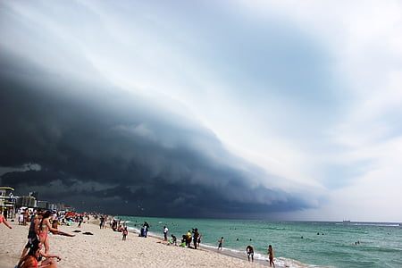 people at seashore under blue cloudy skies thumbnail