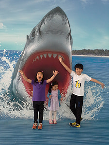 children's taking photo at shark wallpaper thumbnail