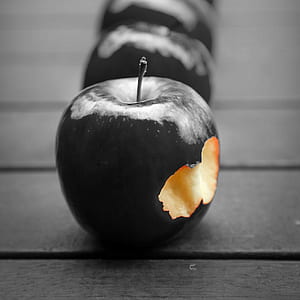 close-up photo of black apple fruit on ground thumbnail