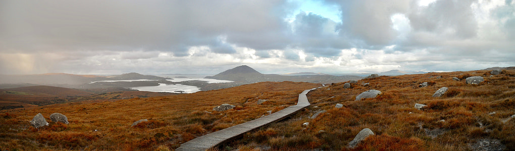 photo of gray pathway surrounded by brown grass thumbnail