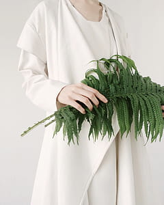 Person Holding Leaves thumbnail