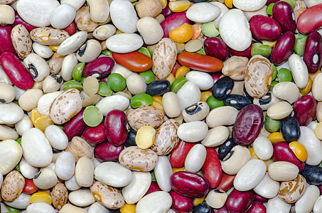 macro shot of assorted seeds thumbnail