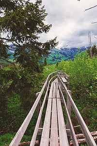grey wooden framed beside tree thumbnail