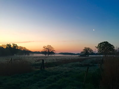 Green Field With Smog during Sunrise thumbnail