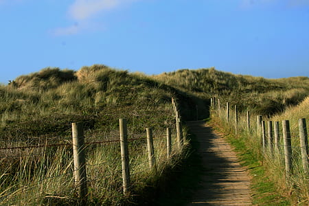 Photography Of Grass Field thumbnail