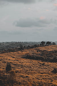 Landscape Photography thumbnail