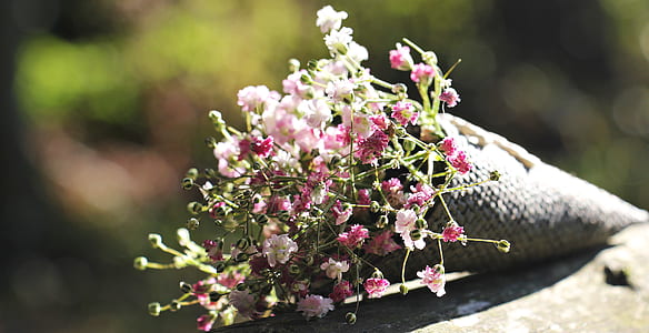 Pink Flower Bouquet thumbnail