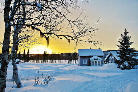 cabin covered by snow thumbnail