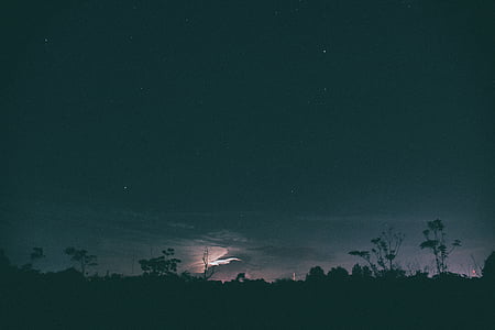 silhouette photo of trees with stars thumbnail