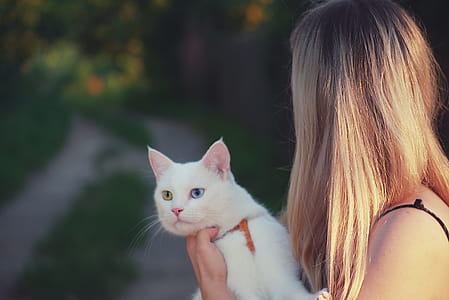 Woman Carrying White Cat thumbnail