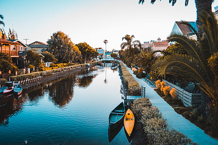 Body of Water Between Green Bushes and Houses thumbnail