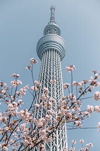 Oriental Pearl tower thumbnail
