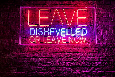 leave dishevelled or leave now neon signage thumbnail