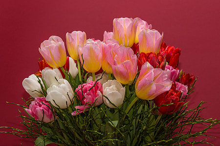pink, white, and red tulips arrangement near red wall thumbnail