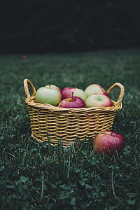 healthy, grass, blur, apples thumbnail