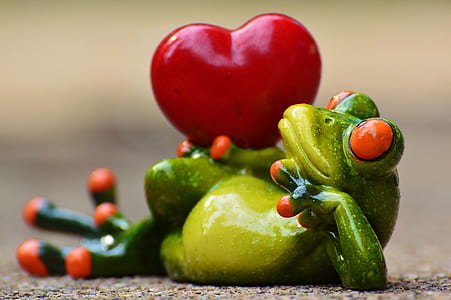 green frog with heart thumbnail