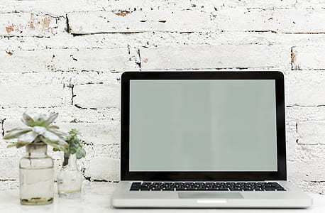 MacBook pro beside clear glass vases thumbnail
