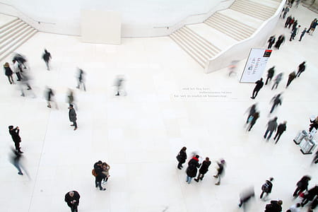 High-angle Photography of People in Ground thumbnail
