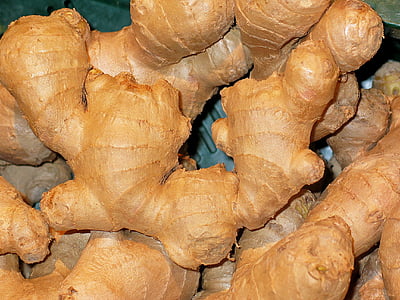 bunch of ginger thumbnail