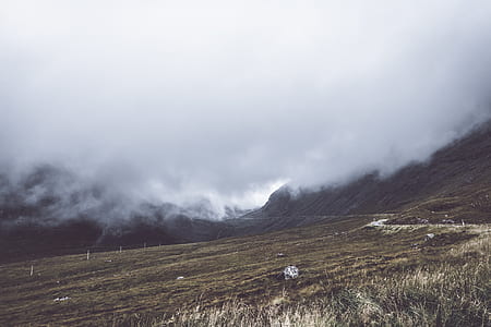 green grass field near mountain thumbnail