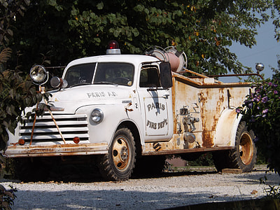 white truck beside tree thumbnail
