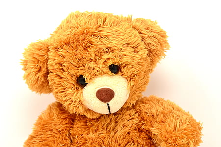 close up photo of brown teddy bear thumbnail