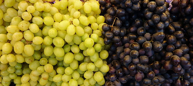 green and purple grapes thumbnail