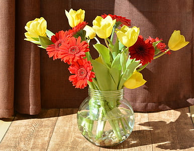 red and yellow flowers in vase thumbnail