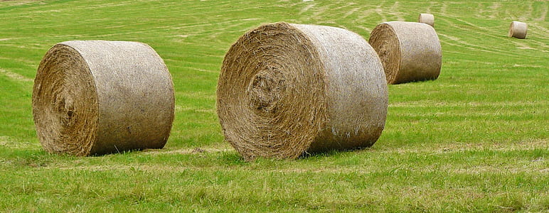 three hay roll on green grass field thumbnail