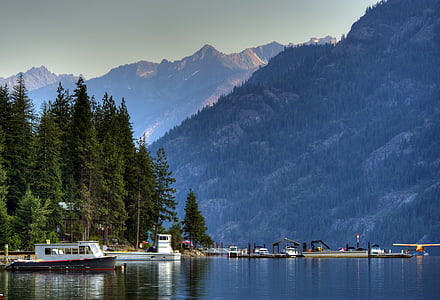 yacht docking near tree thumbnail