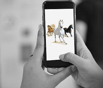 selective color photography of space gray iPhone 6 showing three horse running thumbnail