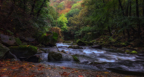 timelapse photo of river thumbnail