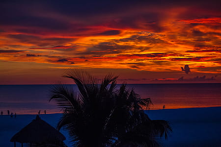 silhouette of hut and coconut trees by the beach during golden hour thumbnail