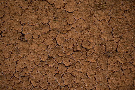 brown dried soil thumbnail