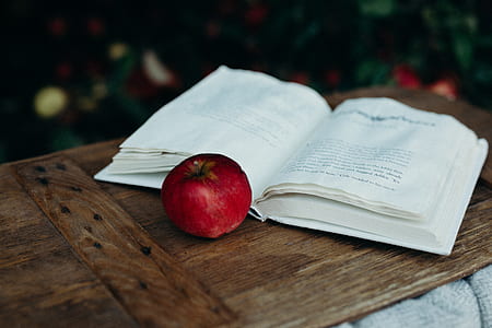 red apple fruit beside open book thumbnail