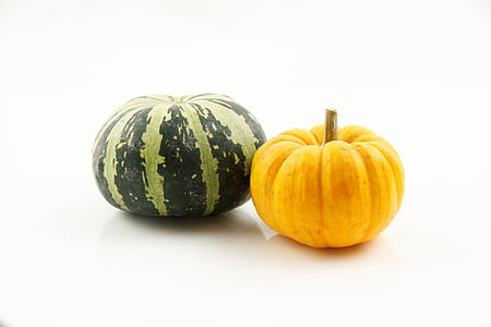 watermelon and squash thumbnail