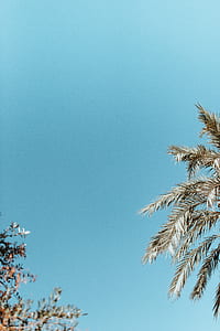 blue sky thumbnail