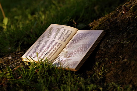 opened book on grasses during daytime thumbnail