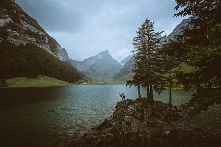 green trees and green lake near mountain thumbnail