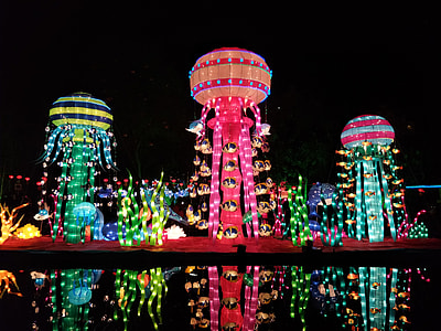 Chinese New Year, Night thumbnail
