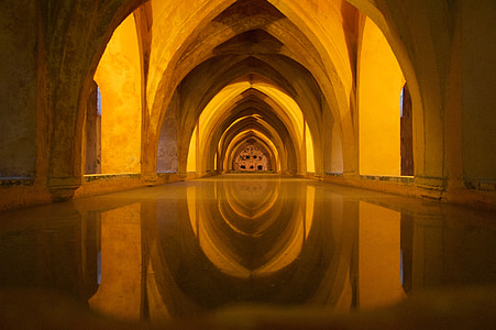 photography of empty building hallway thumbnail