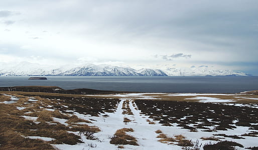 wide brown field covered with snow thumbnail