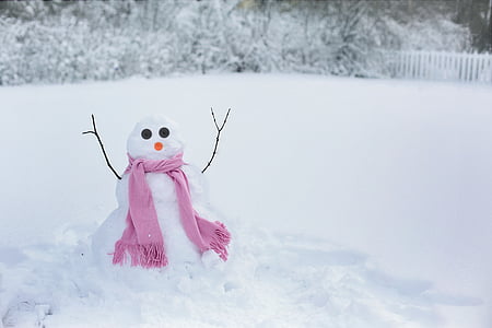 snowman photo during winter thumbnail