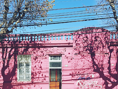 pink concrete structure near tree thumbnail