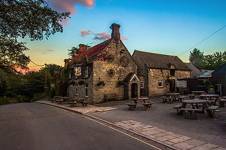 gray concrete building near tree and bench during golden hour thumbnail