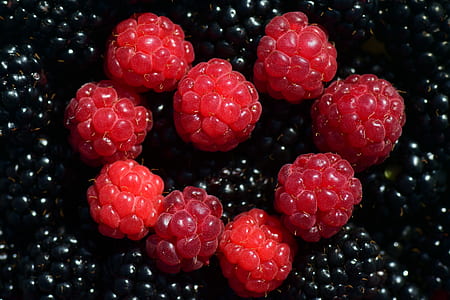 bunch of raspberries thumbnail