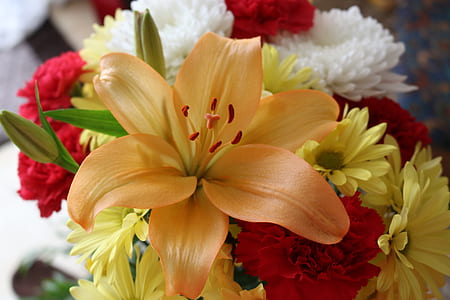 close-up photo of assorted-color petaled flowers thumbnail