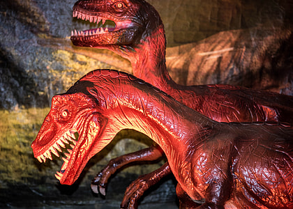 Closeup of raptors thumbnail
