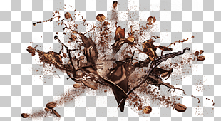 Coffee bean Cafe Single-origin coffee, Coffee Beans Transparent Background, coffee splash PNG clipart