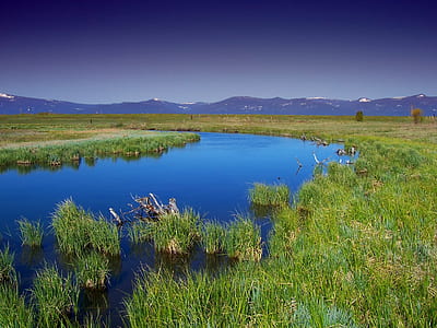 body of water beside green grass field under clear sky during daytime thumbnail